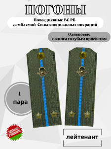  заголовок (2)43
